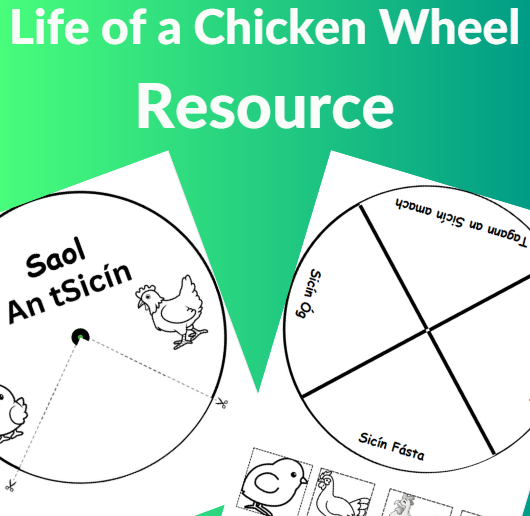Saol an tSicín – Life Cycle of a Chicken